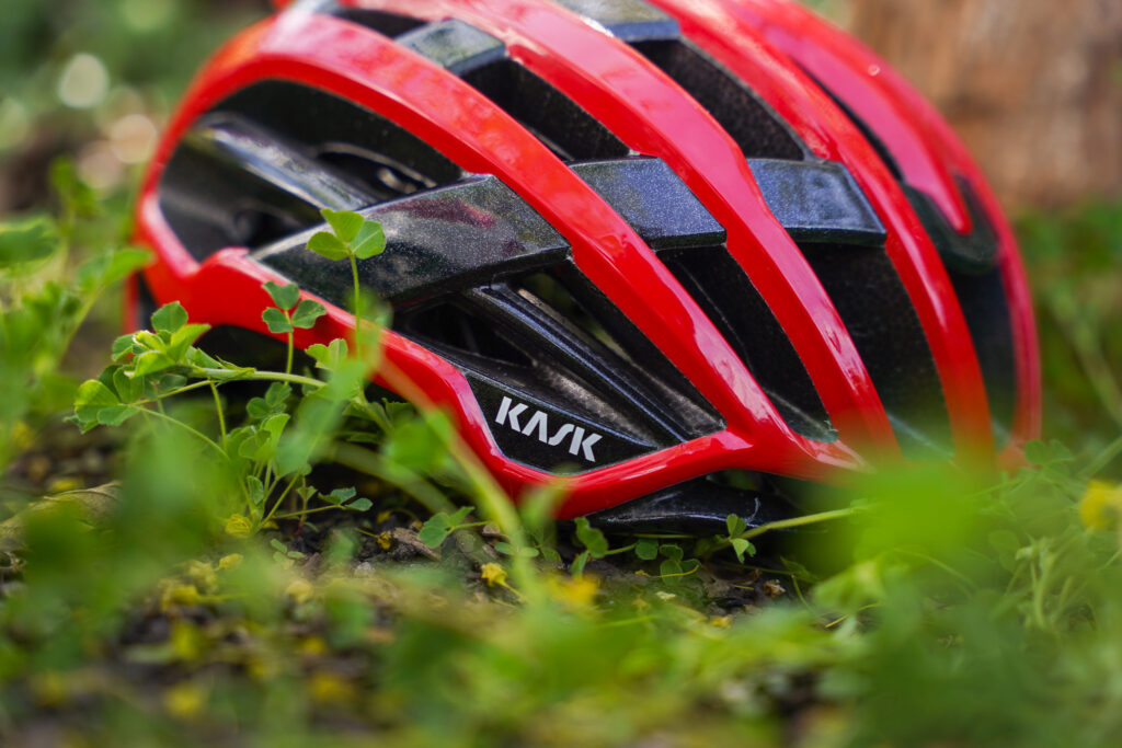 Sportive Essentials for 2026